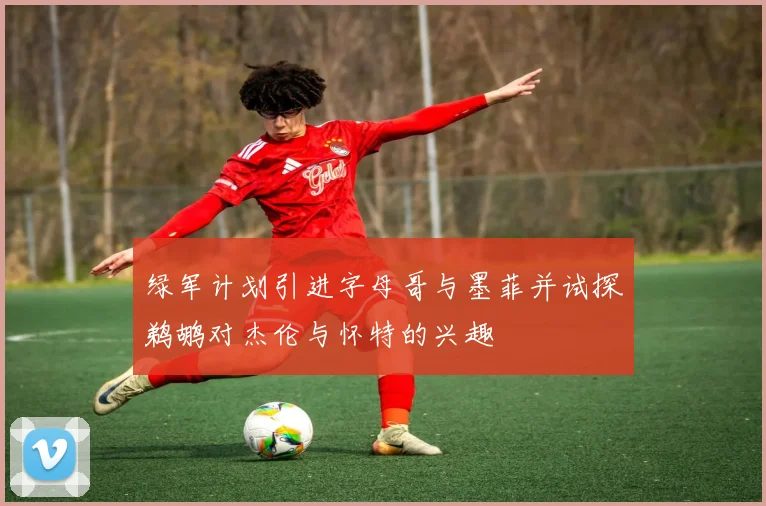 绿军计划引进字母哥与墨菲并试探鹈鹕对杰伦与怀特的兴趣